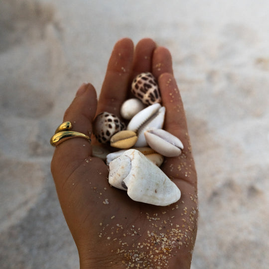 "HAWAII" DOUBLE BALL RING